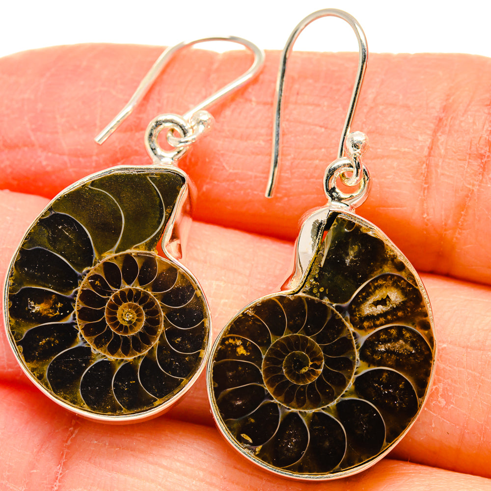 Ammonite Fossil Earrings handcrafted by Ana Silver Co - EARR424442