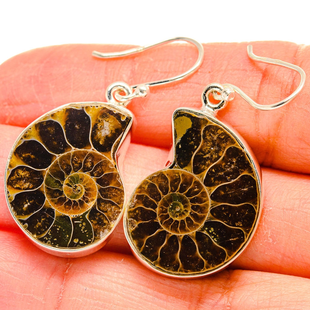 Ammonite Fossil Earrings handcrafted by Ana Silver Co - EARR424449
