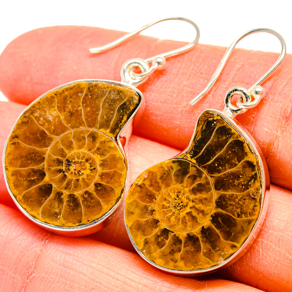 Ammonite Fossil Earrings handcrafted by Ana Silver Co - EARR424473