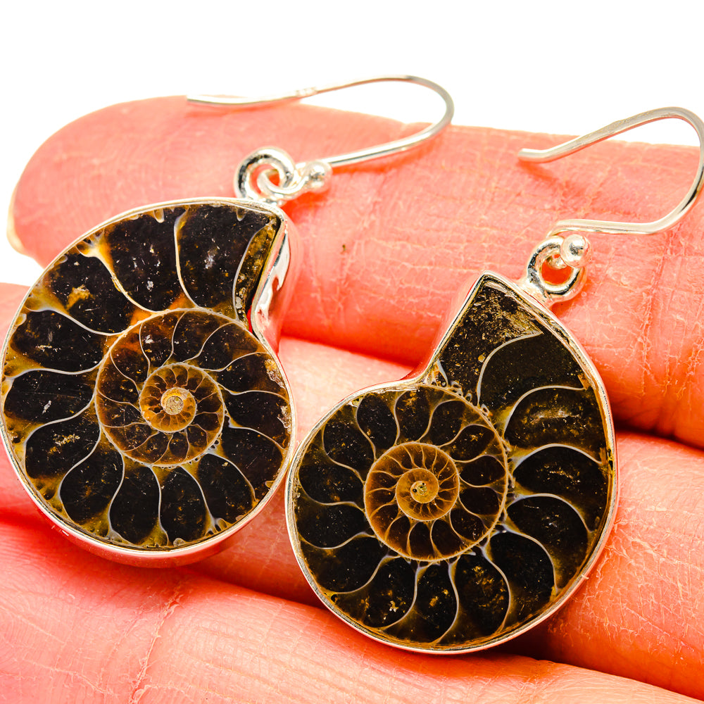 Ammonite Fossil Earrings handcrafted by Ana Silver Co - EARR424479