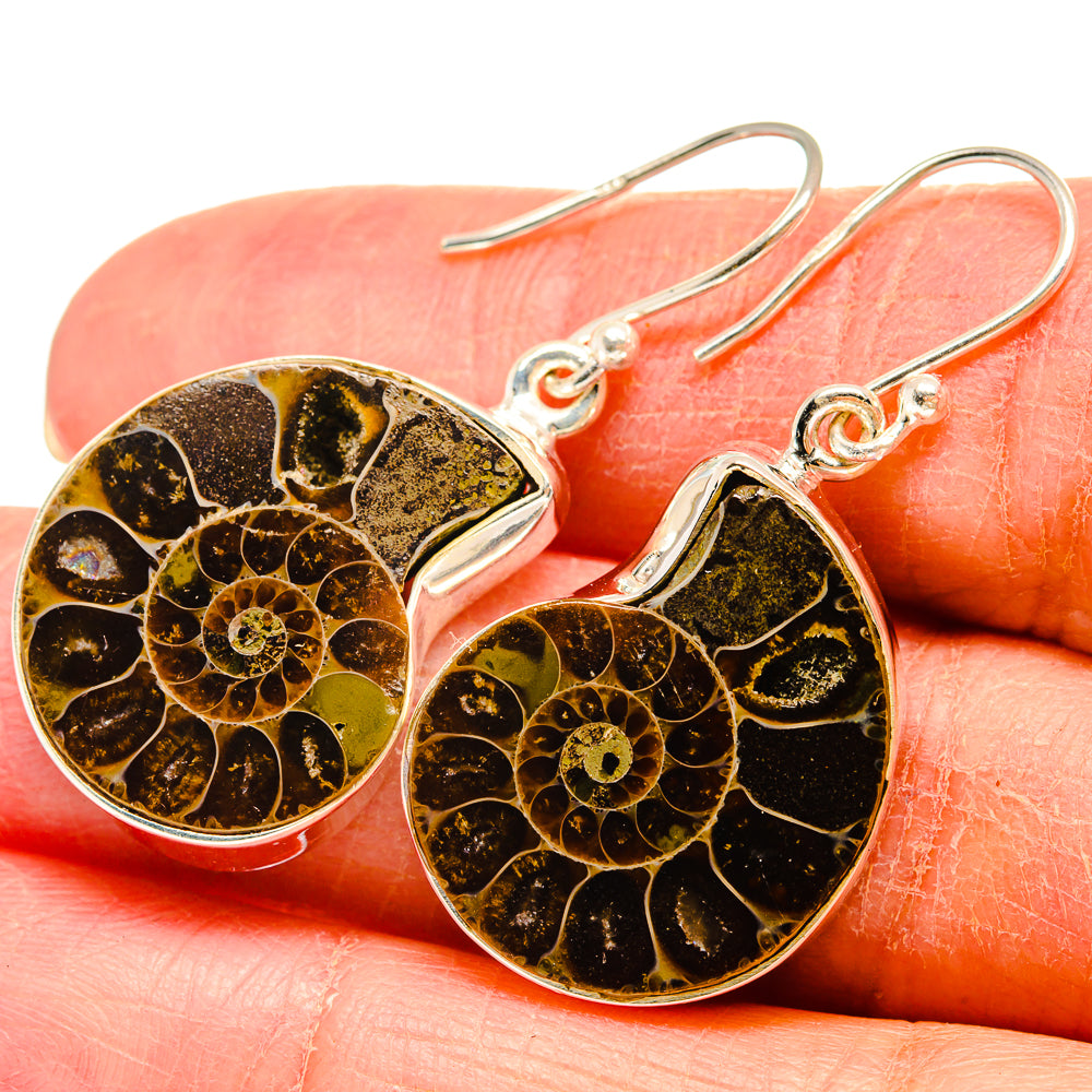 Ammonite Fossil Earrings handcrafted by Ana Silver Co - EARR424484
