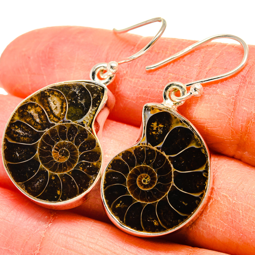 Ammonite Fossil Earrings handcrafted by Ana Silver Co - EARR424498