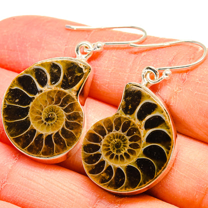 Ammonite Fossil Earrings handcrafted by Ana Silver Co - EARR424535