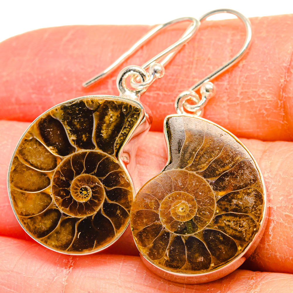 Ammonite Fossil Earrings handcrafted by Ana Silver Co - EARR424544