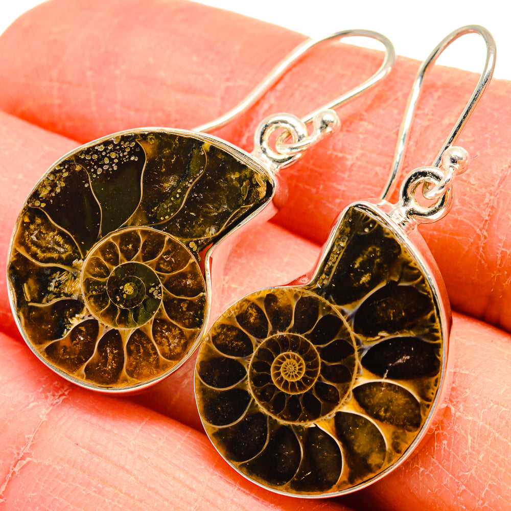 Ammonite Fossil Earrings handcrafted by Ana Silver Co - EARR424551