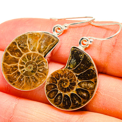 Ammonite Fossil Earrings handcrafted by Ana Silver Co - EARR424568