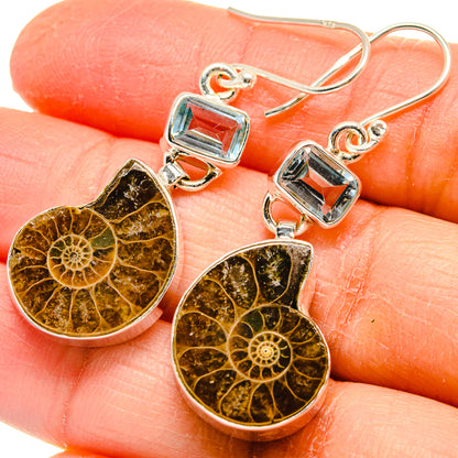 Ammonite Fossil Earrings handcrafted by Ana Silver Co - EARR424733