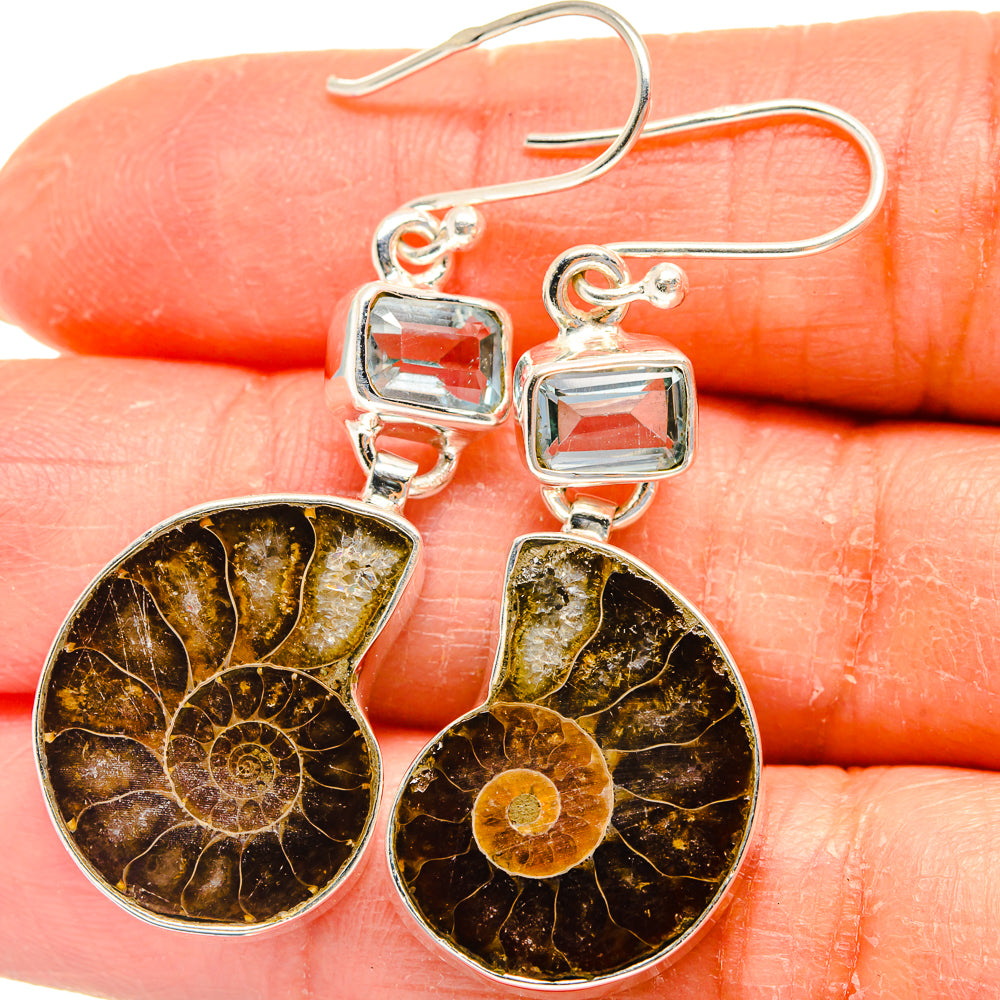 Ammonite Fossil Earrings handcrafted by Ana Silver Co - EARR424803