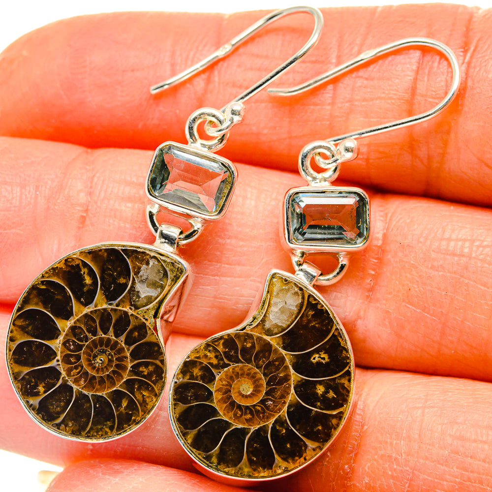 Ammonite Fossil Earrings handcrafted by Ana Silver Co - EARR424950