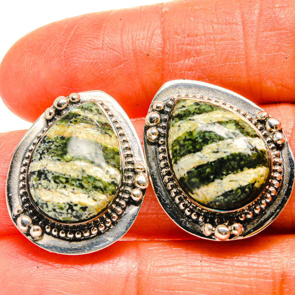 Lizard Jasper Earrings handcrafted by Ana Silver Co - EARR425842