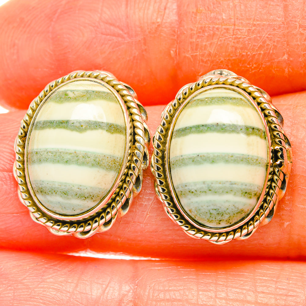 Ocean Jasper Earrings handcrafted by Ana Silver Co - EARR426508