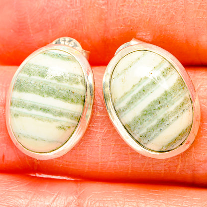 Ocean Jasper Earrings handcrafted by Ana Silver Co - EARR426640