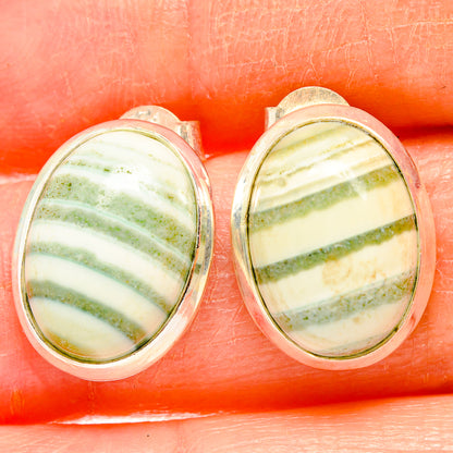 Ocean Jasper Earrings handcrafted by Ana Silver Co - EARR426959