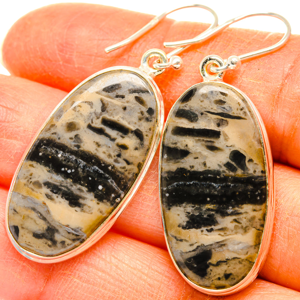 Tiger Dendrite Agate Earrings handcrafted by Ana Silver Co - EARR427884