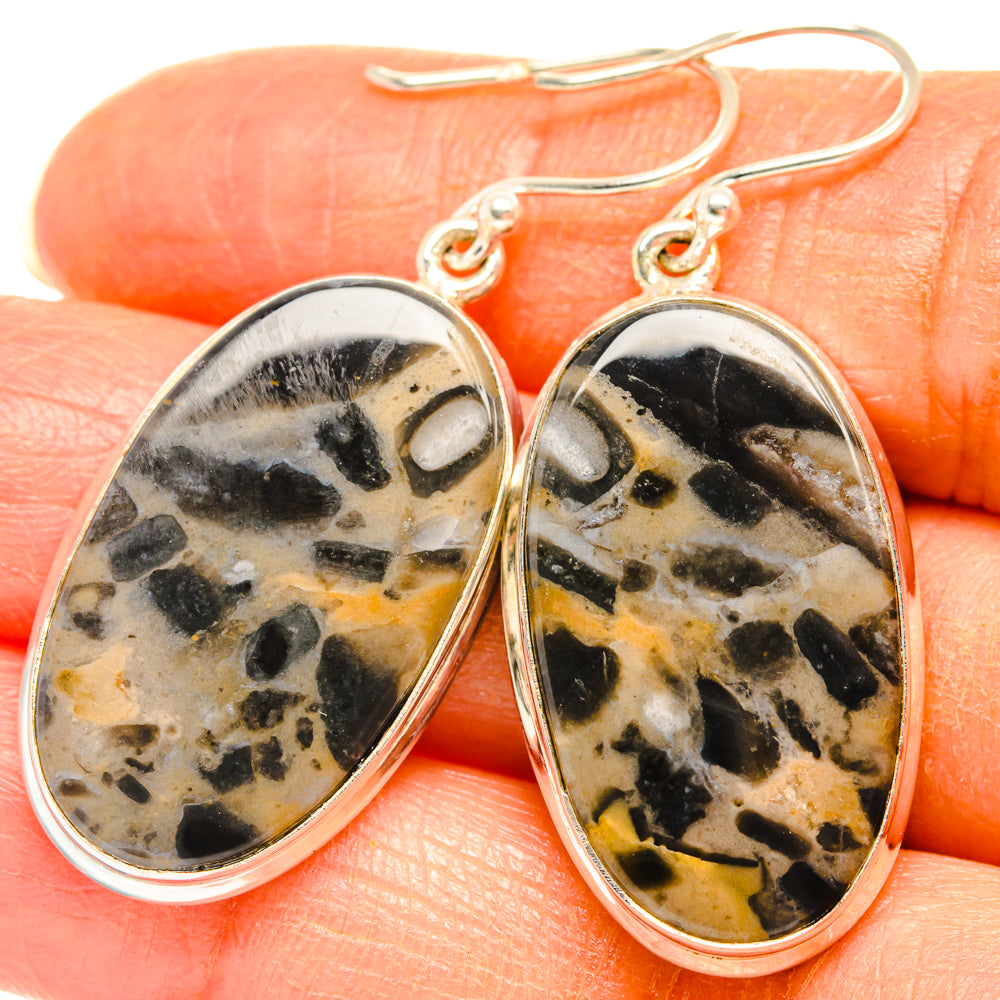Tiger Dendrite Agate Earrings handcrafted by Ana Silver Co - EARR427890