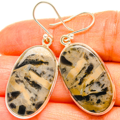 Tiger Dendrite Agate Earrings handcrafted by Ana Silver Co - EARR427924
