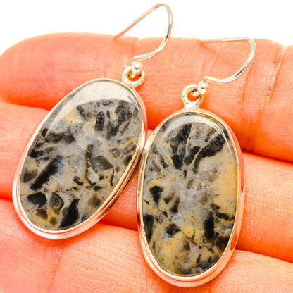 Tiger Dendritic Agate Earrings handcrafted by Ana Silver Co - EARR427941