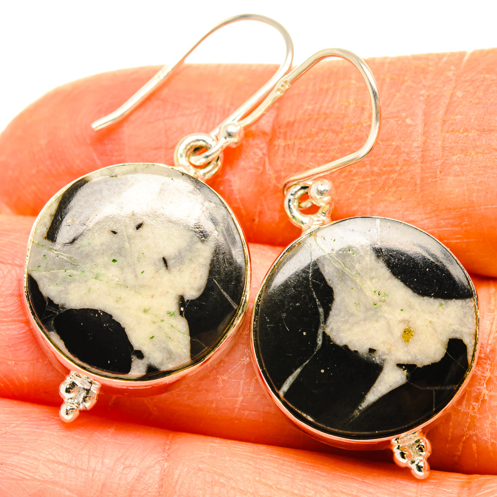 Septarian geode earrings, oval black-and-white stones in sterling silver hooks