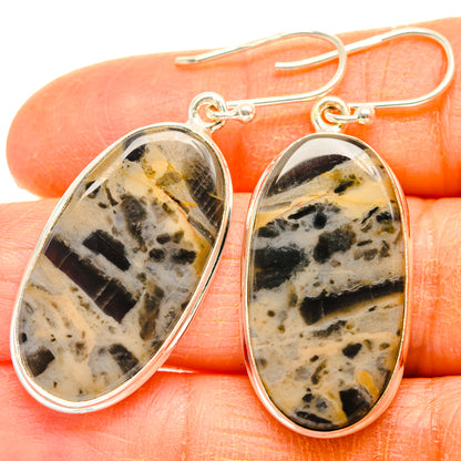 Tiger Dendrite Agate Earrings handcrafted by Ana Silver Co - EARR428035