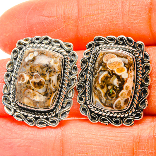 Turritella Agate Earrings handcrafted by Ana Silver Co - EARR428403