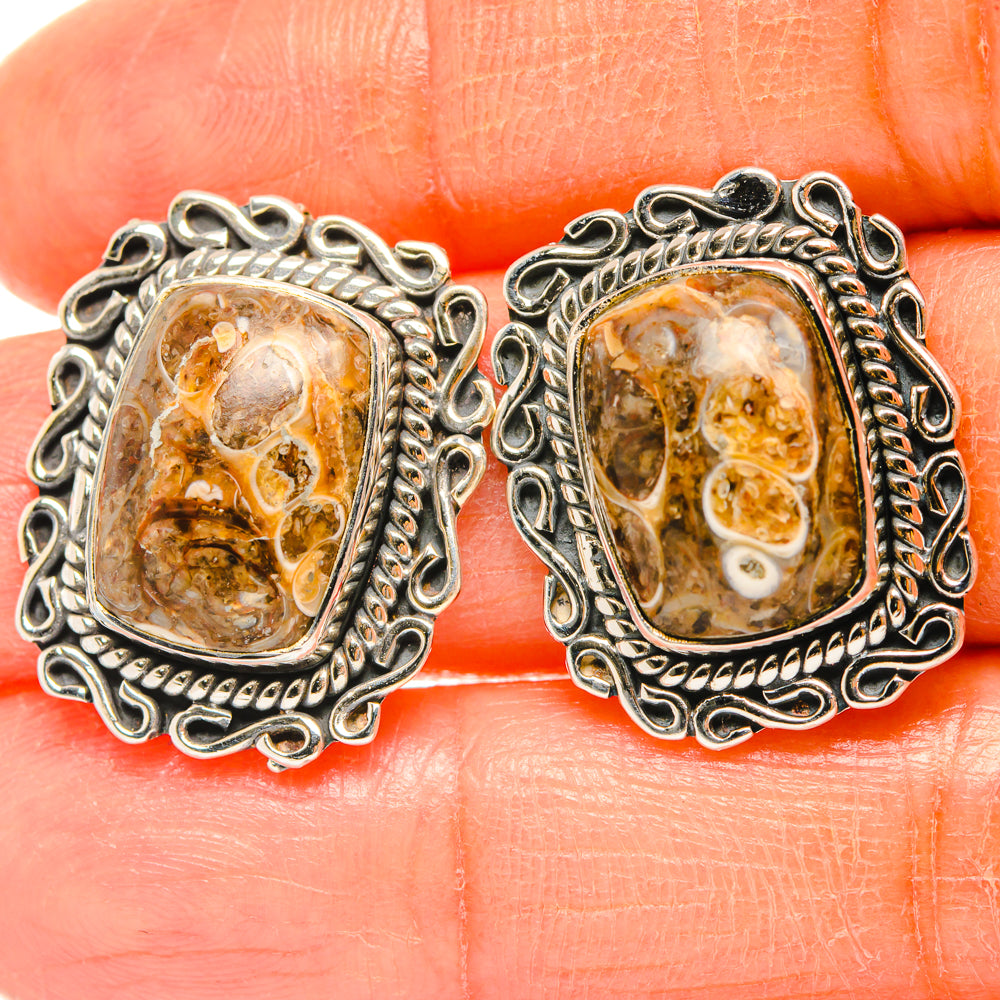 Turritella Agate Earrings handcrafted by Ana Silver Co - EARR428445