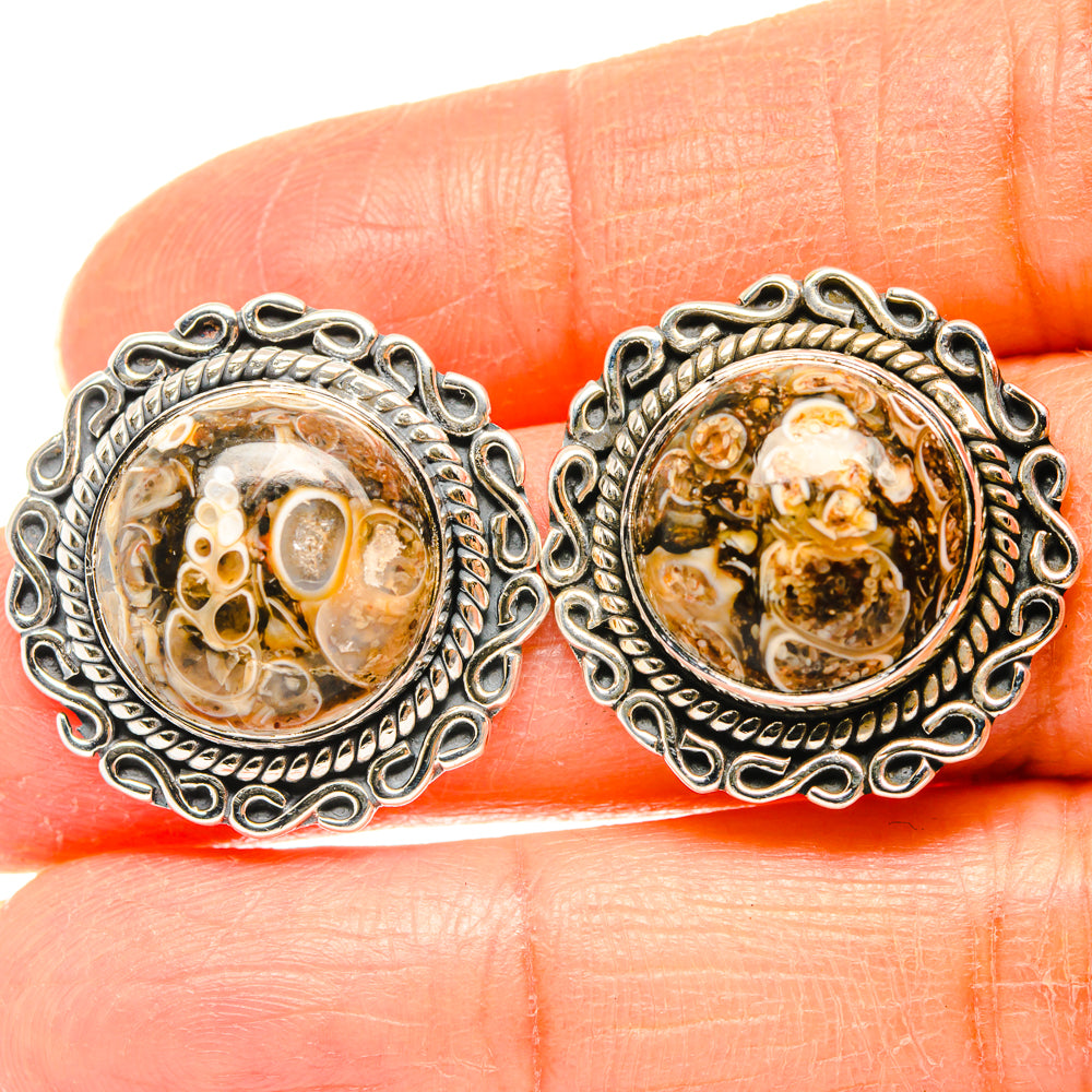 Turritella Agate Earrings handcrafted by Ana Silver Co - EARR428463