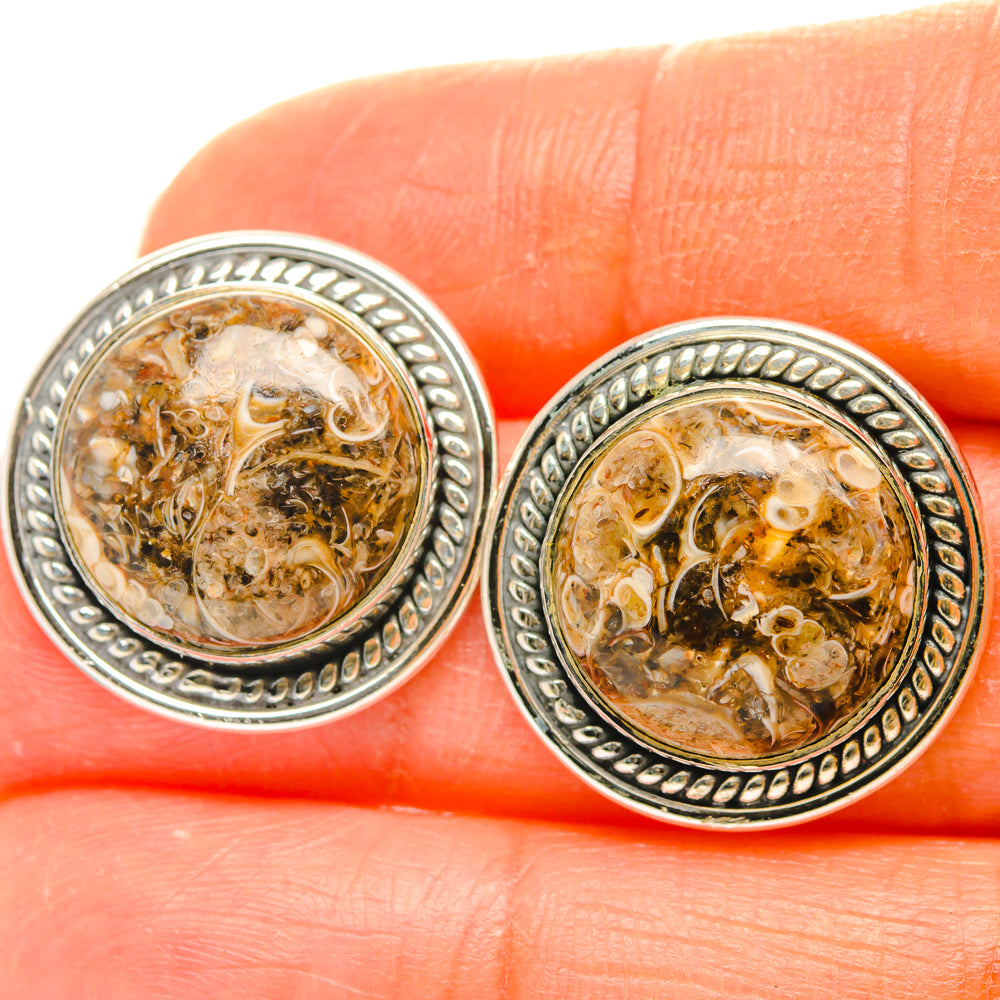 Turritella Agate Earrings handcrafted by Ana Silver Co - EARR428618