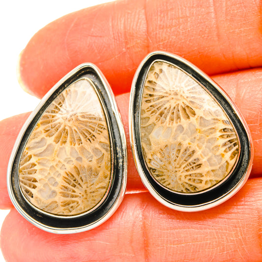 Fossil Coral Earrings handcrafted by Ana Silver Co - EARR428635