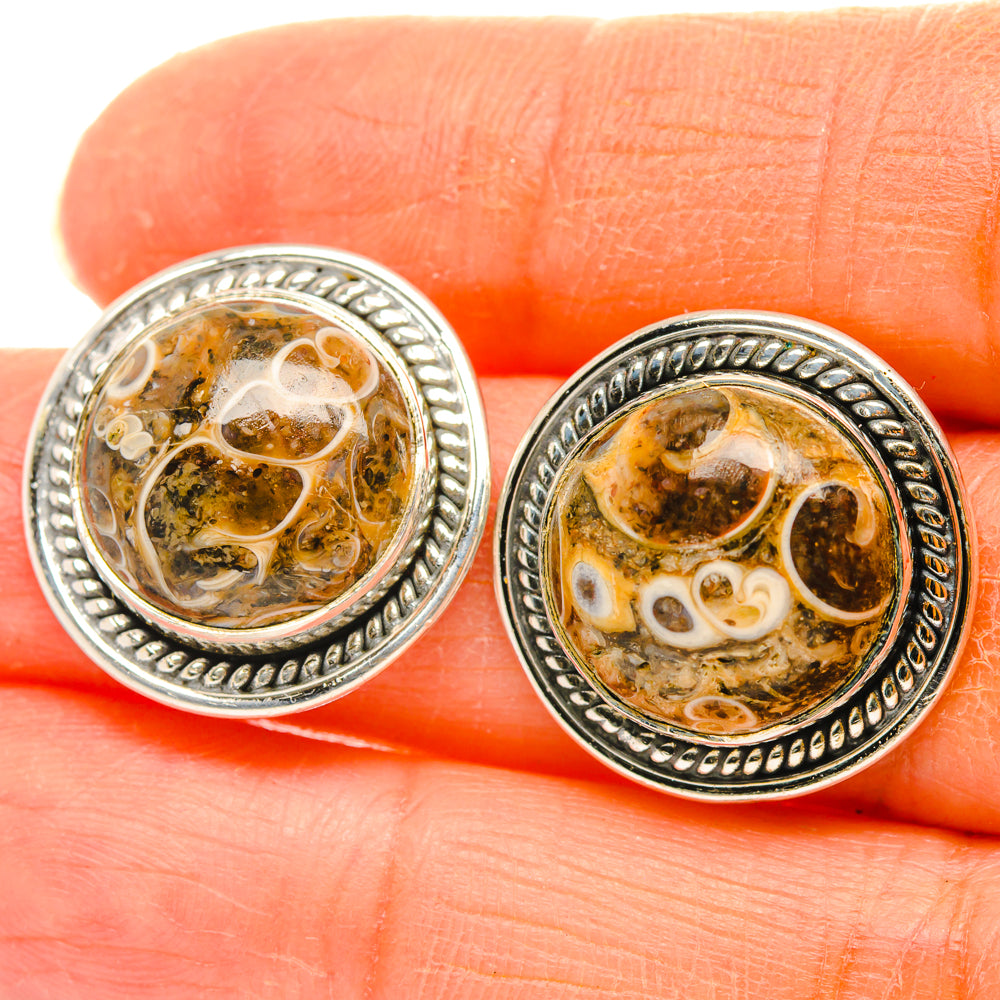 Turritella Agate Earrings handcrafted by Ana Silver Co - EARR428741