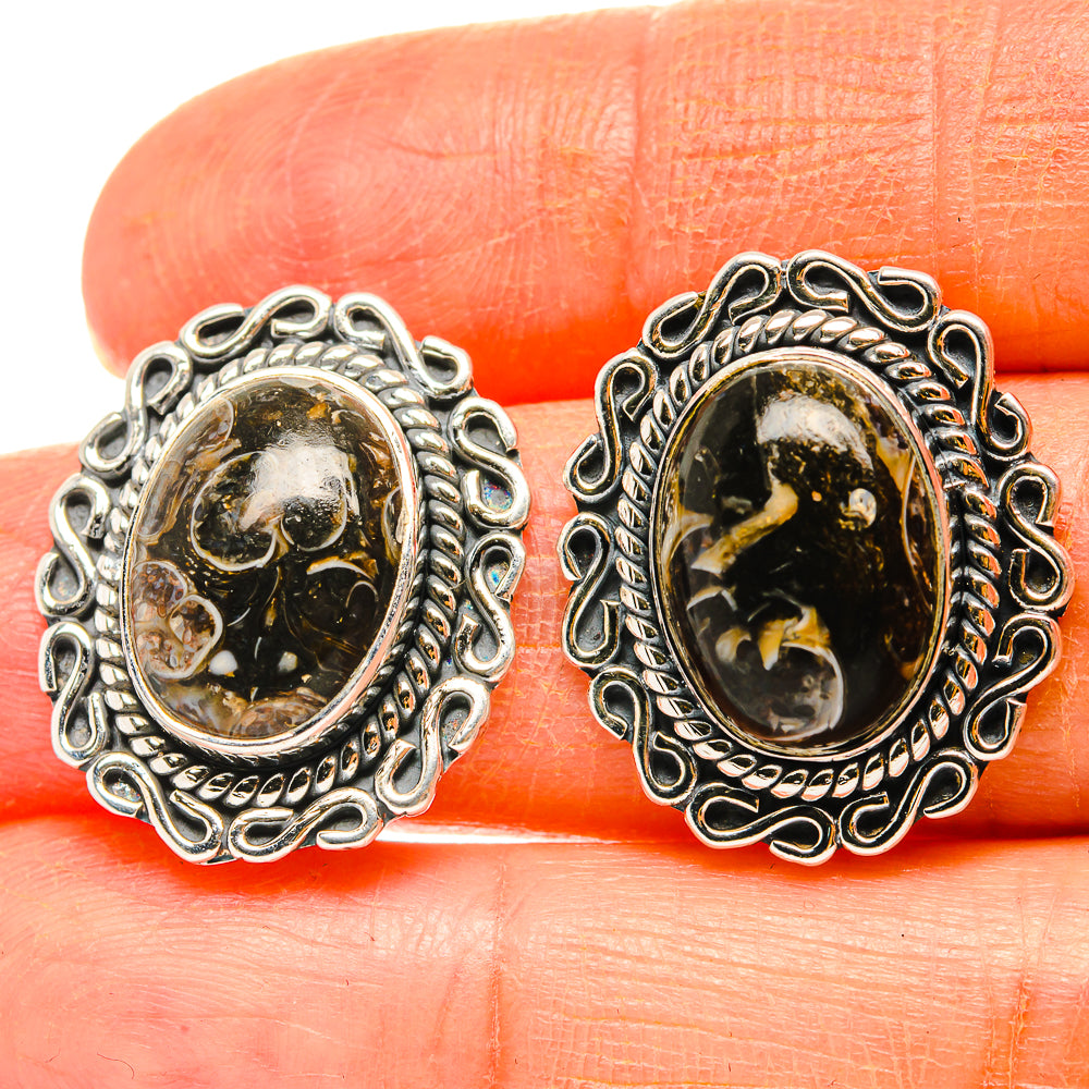 Turritella Agate Earrings handcrafted by Ana Silver Co - EARR429026