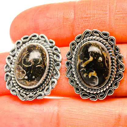 Turritella Agate Earrings handcrafted by Ana Silver Co - EARR429026