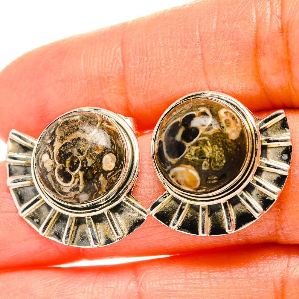 Turritella Agate Earrings handcrafted by Ana Silver Co - EARR429160