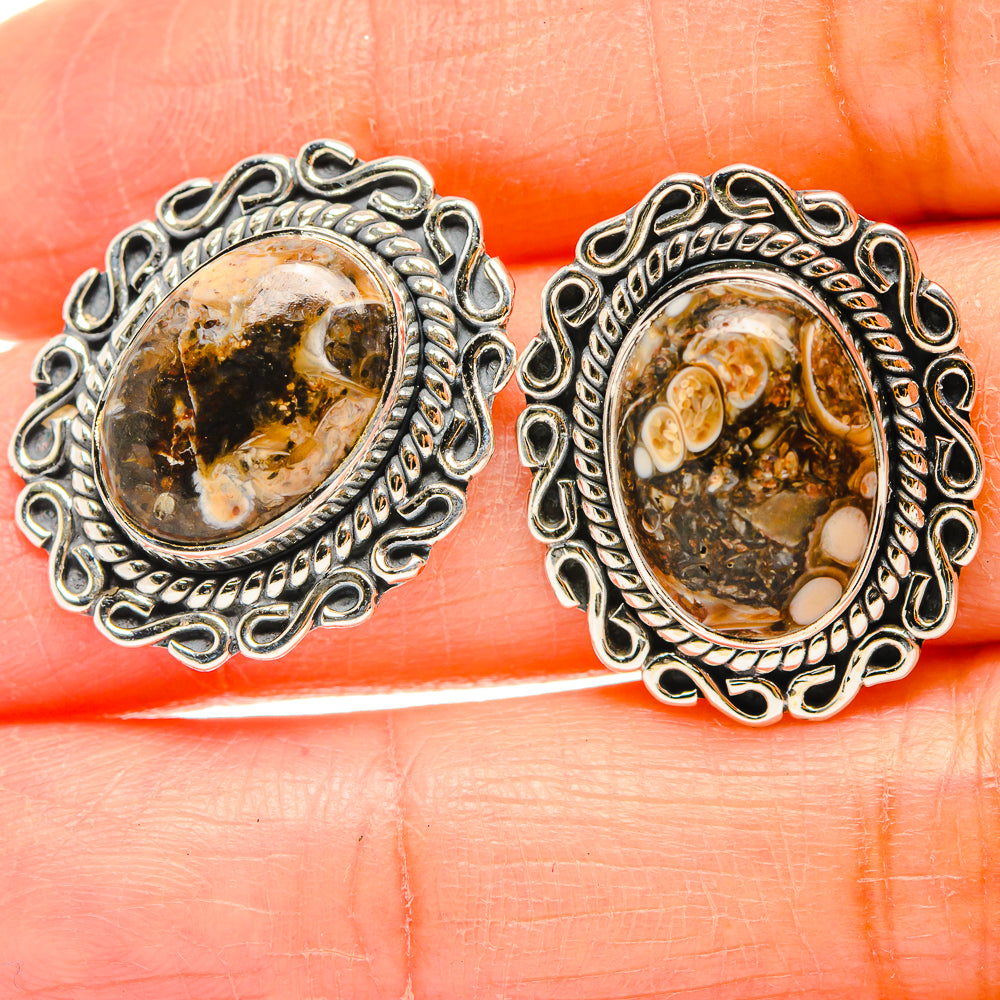 Turritella Agate Earrings handcrafted by Ana Silver Co - EARR429213