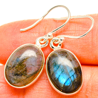 Labradorite Earrings handcrafted by Ana Silver Co - EARR429379