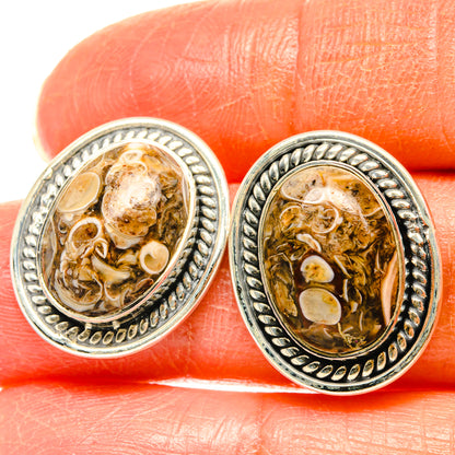 Turritella Agate Earrings handcrafted by Ana Silver Co - EARR428548