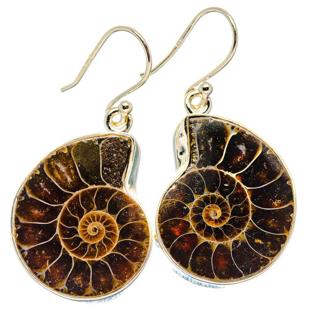 Ammonite Fossil Earrings handcrafted by Ana Silver Co - EARR423644