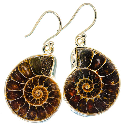 Ammonite Fossil Earrings handcrafted by Ana Silver Co - EARR423644