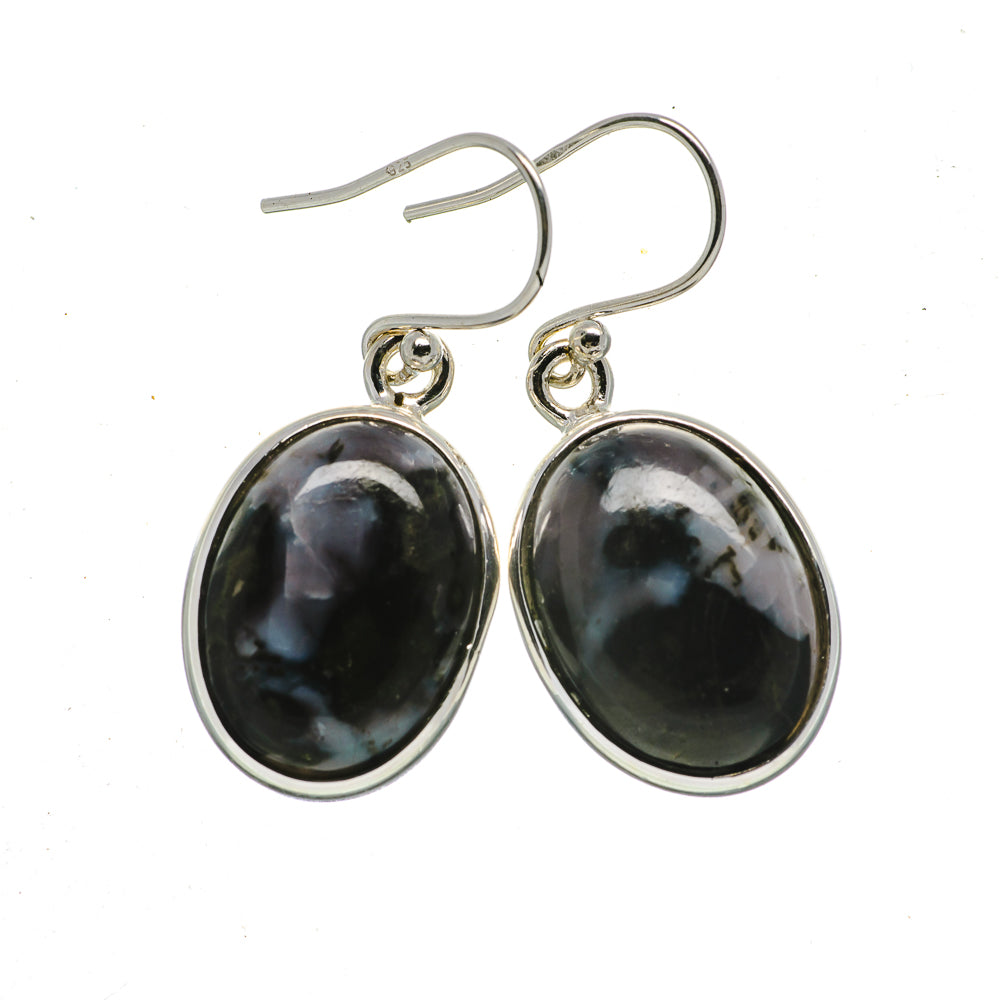 Gabbro Stone Earrings handcrafted by Ana Silver Co - EARR392543