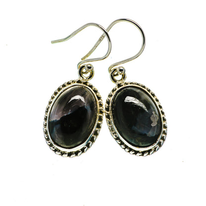 Gabbro Earrings handcrafted by Ana Silver Co - EARR394924