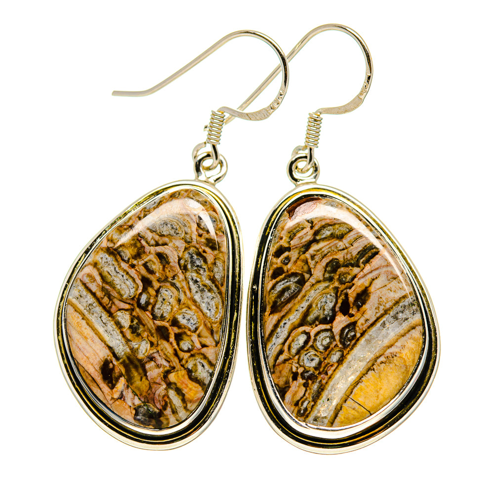 Chert Breccia Earrings handcrafted by Ana Silver Co - EARR411608