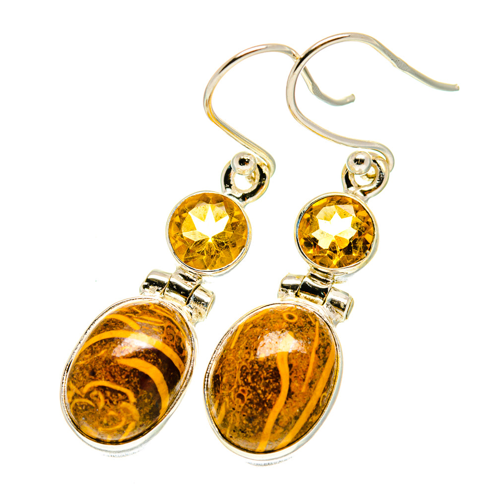 Palm Wood Jasper Earrings handcrafted by Ana Silver Co - EARR417412