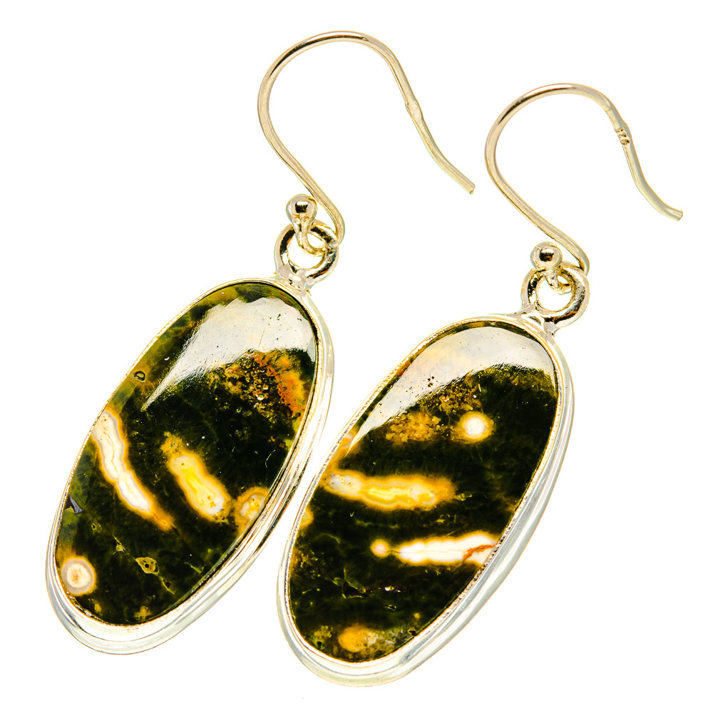 Ocean Jasper Earrings handcrafted by Ana Silver Co - EARR417558