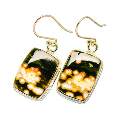 Ocean Jasper Earrings handcrafted by Ana Silver Co - EARR417670