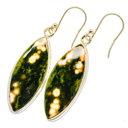 Ocean Jasper Earrings handcrafted by Ana Silver Co - EARR417824