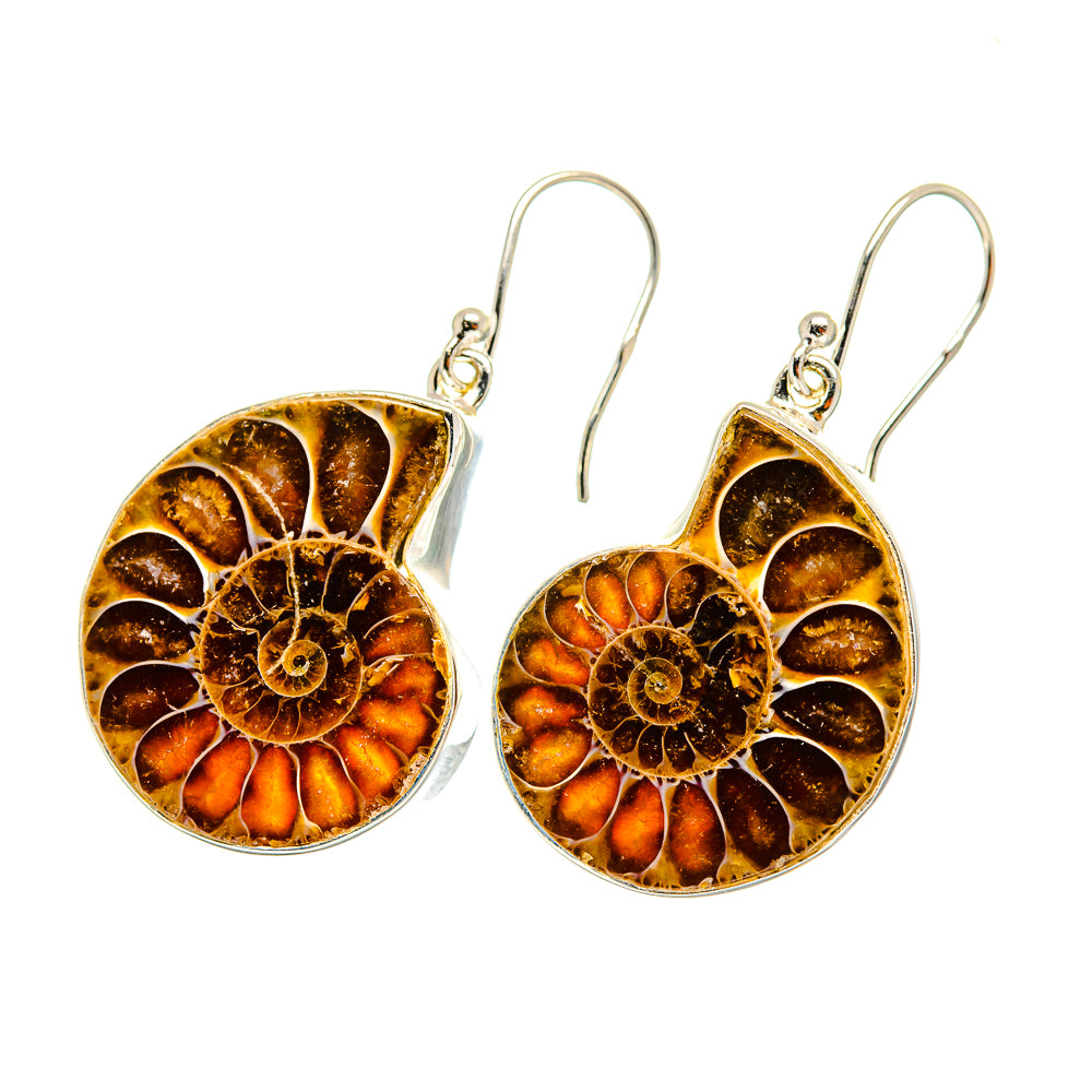 Ammonite Fossil Earrings handcrafted by Ana Silver Co - EARR419314