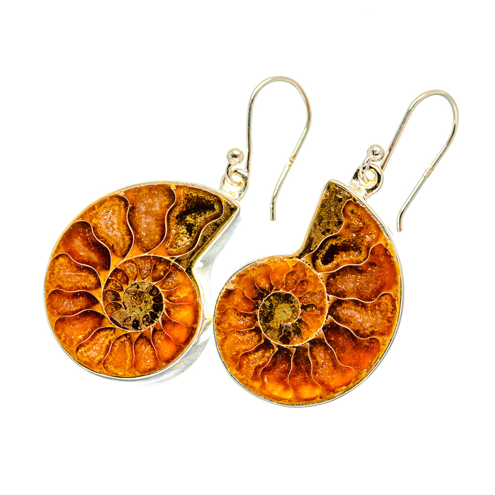 Ammonite Fossil Earrings handcrafted by Ana Silver Co - EARR419318
