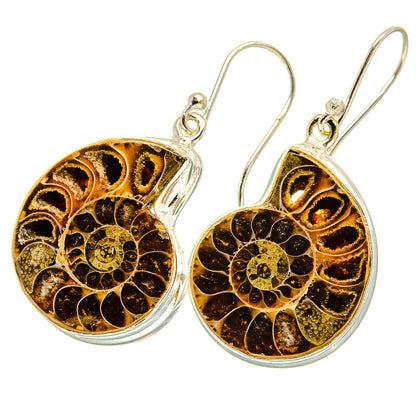 Ammonite Fossil Earrings handcrafted by Ana Silver Co - EARR419334