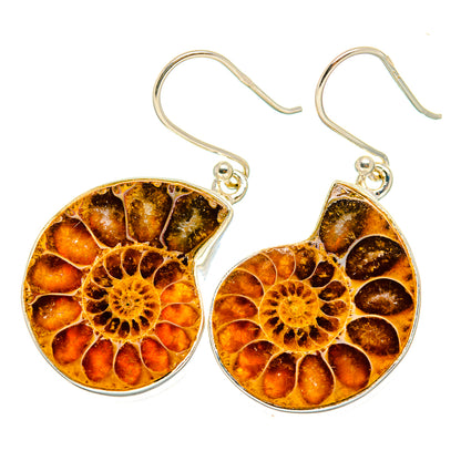 Ammonite Fossil Earrings handcrafted by Ana Silver Co - EARR419350