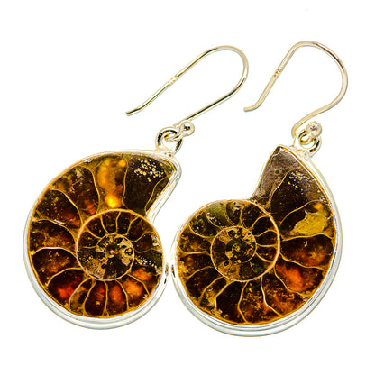 Ammonite Fossil Earrings handcrafted by Ana Silver Co - EARR419356
