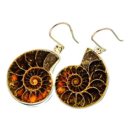 Ammonite Fossil Earrings handcrafted by Ana Silver Co - EARR419378